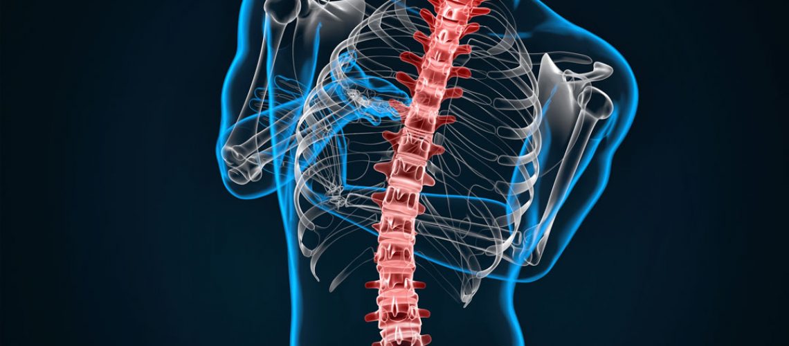 Biomecânica da coluna vertebral no Pilates | Janaína Cintas